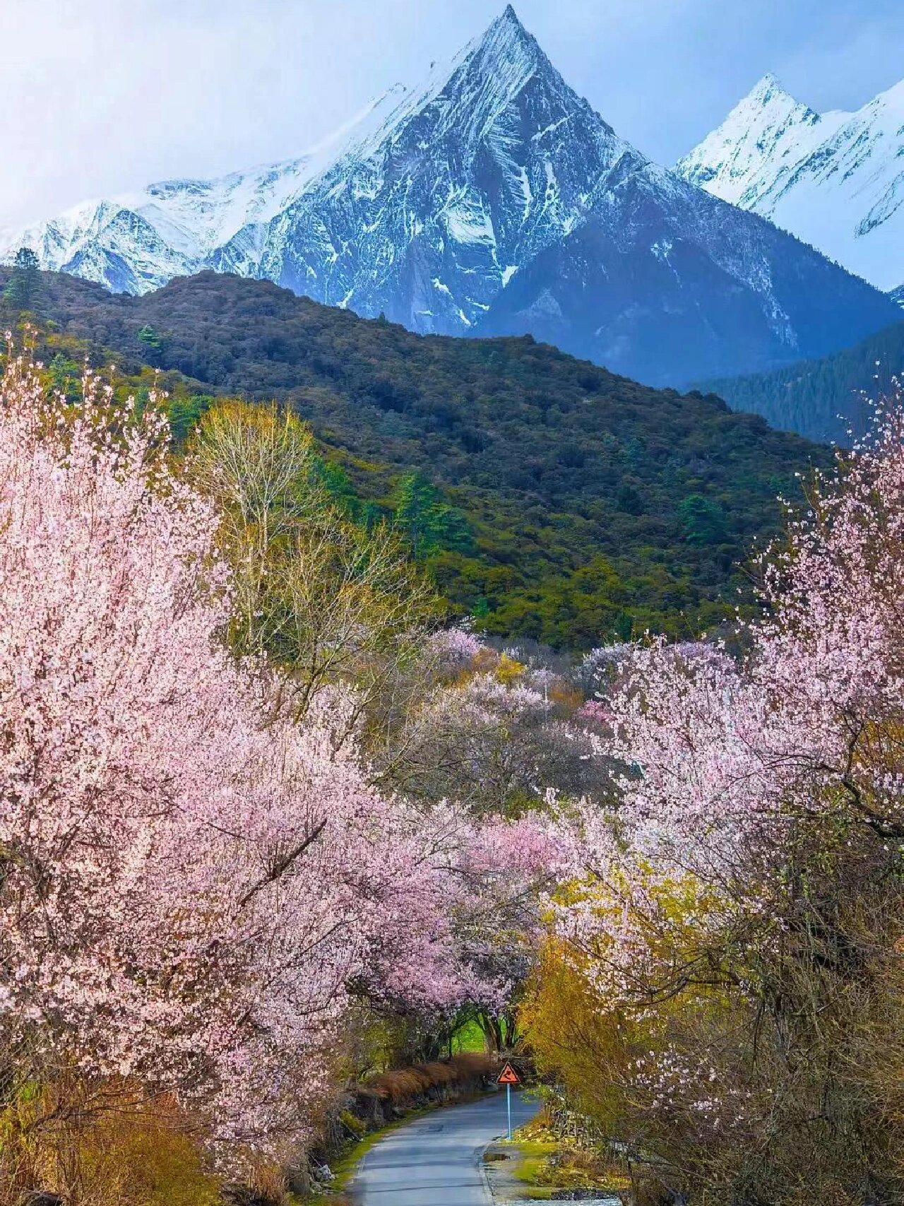 房山桃花谷图片