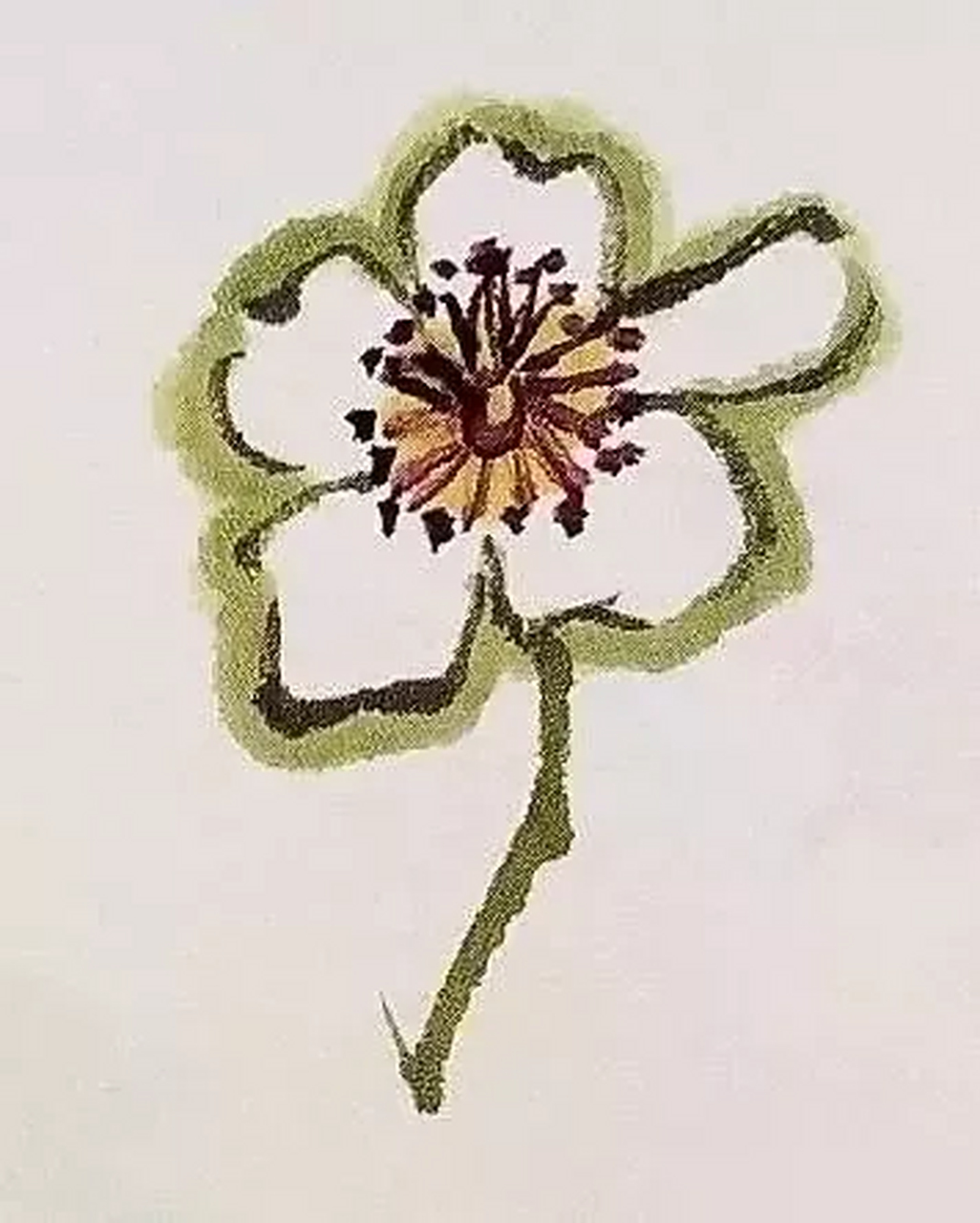 梨花形状: 梨花,属落叶乔木,在暮春开放,花朵洁白如玉,好像晶莹的