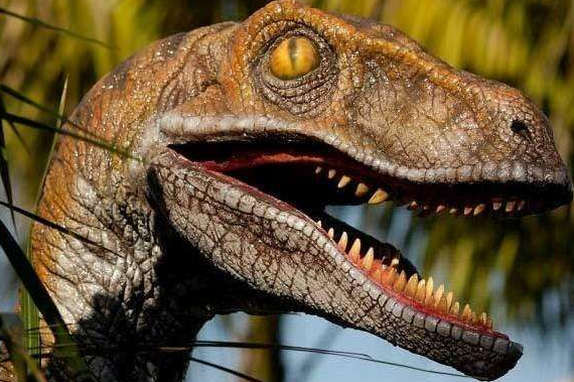 奔龙——史前巨眼恐龙,8厘米直径的巨眼让它们洞察一切,捕食与逃避