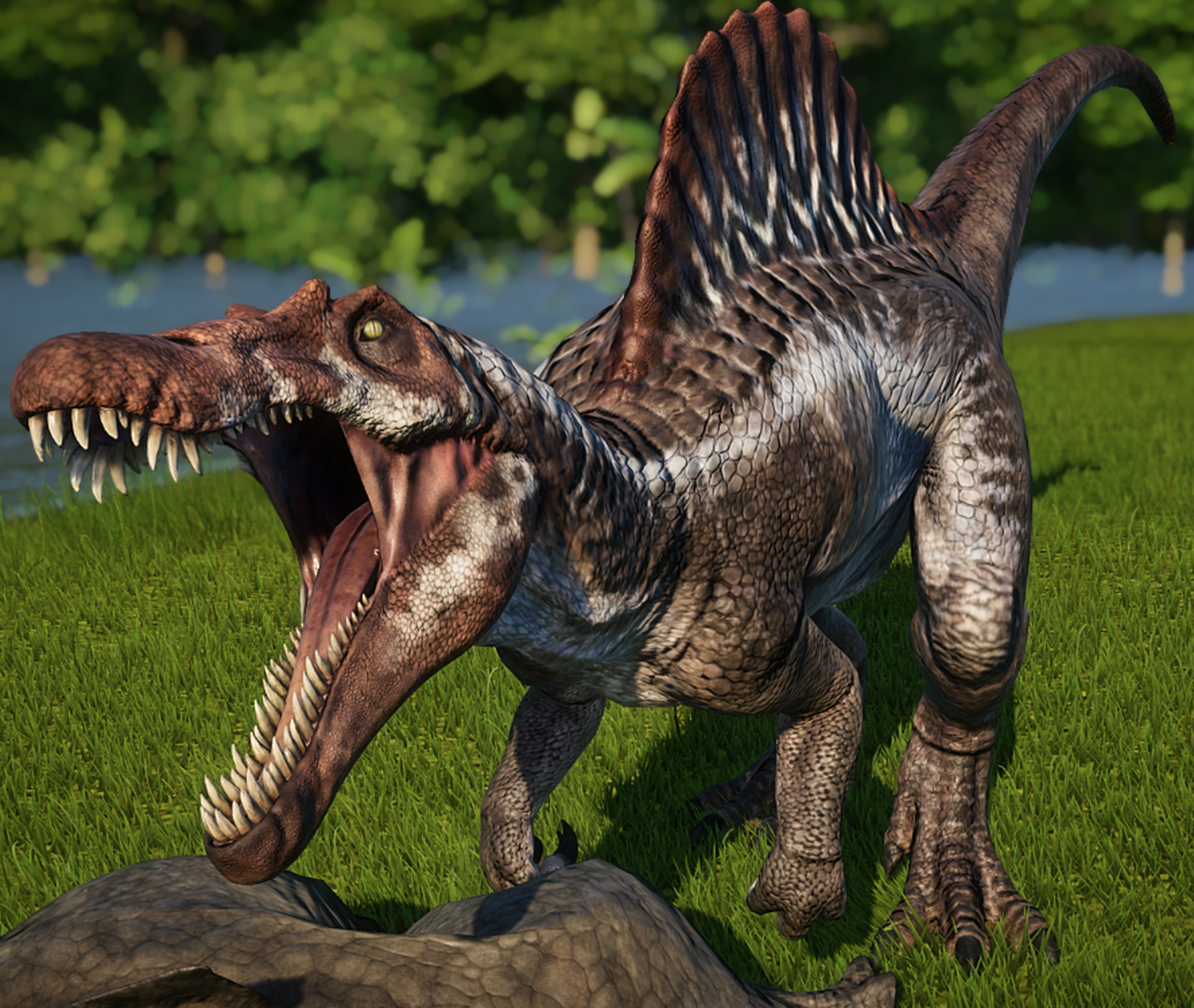 揭秘地球上最大食肉恐龙之一