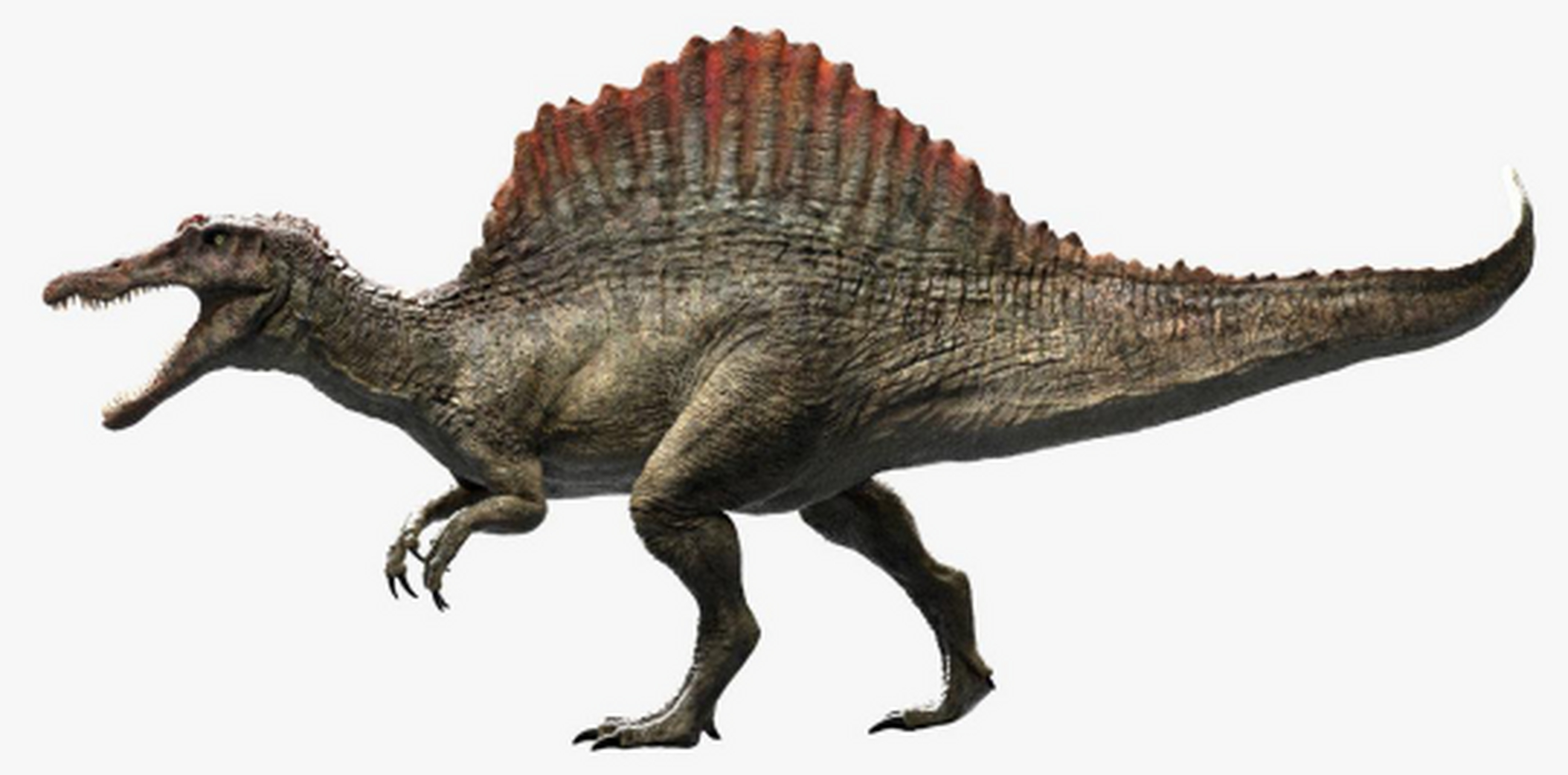 揭秘地球上最大食肉恐龙之一