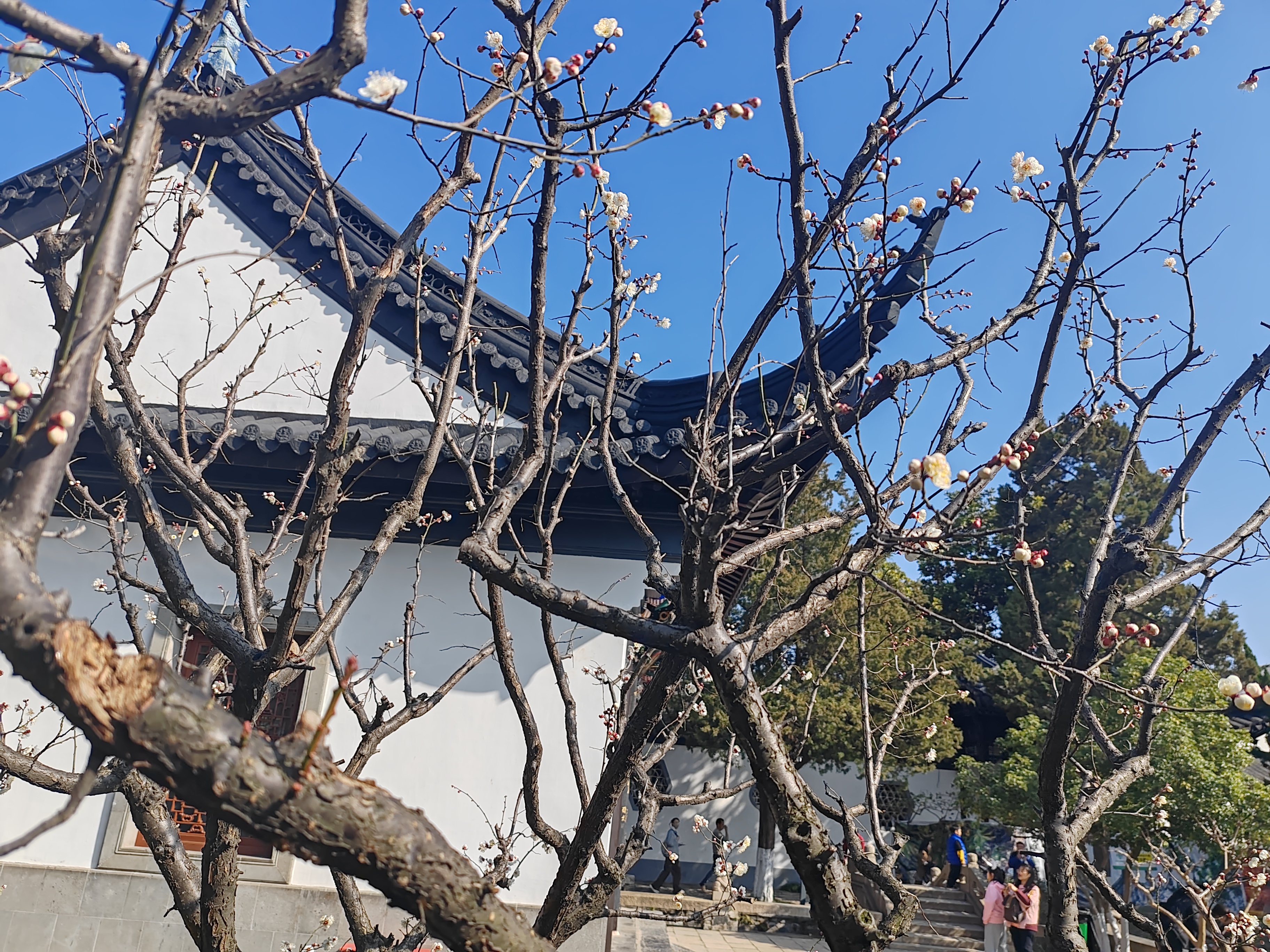 南京江宁织造府:一处充满历史与文化的小众景点,曹雪芹的出生地