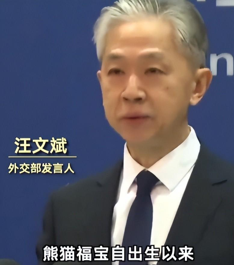 笑麻了熊猫福宝回国在韩国掀起热浪网友别哭了送你几只猴子