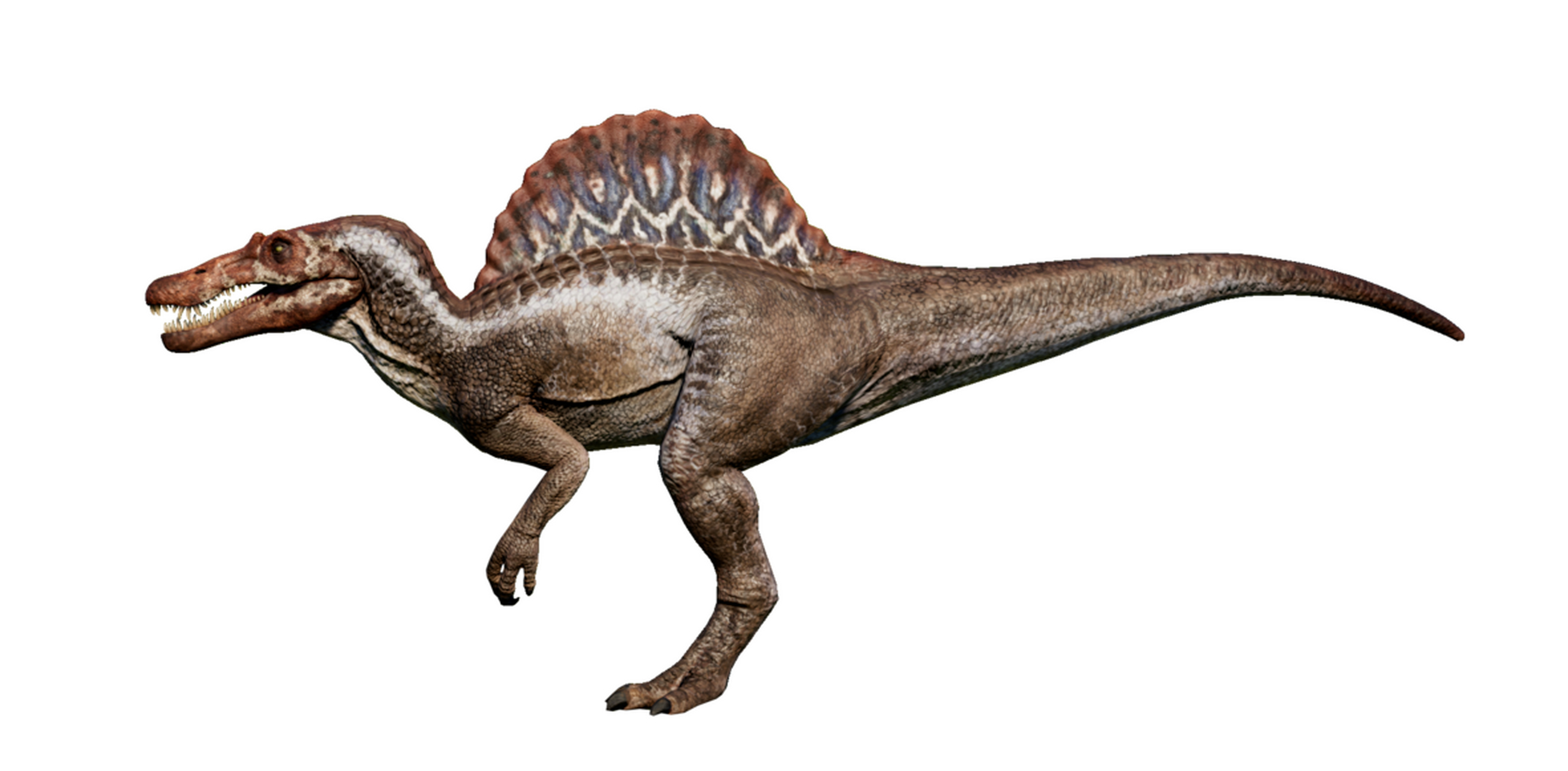 揭秘地球上最大食肉恐龙之一——棘龙,庞大体型,独特生活方式震撼登场