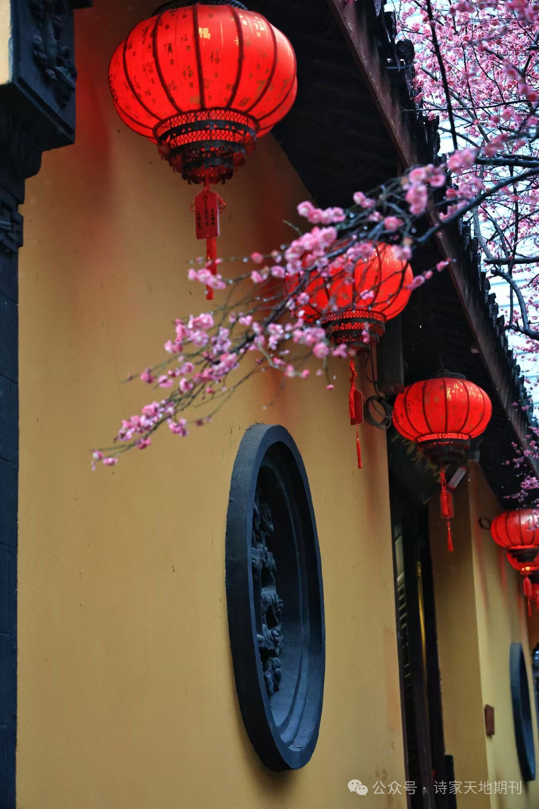 诗家天地期刊第707期春雨霏微弄晓寒枝头红蕊雾中看