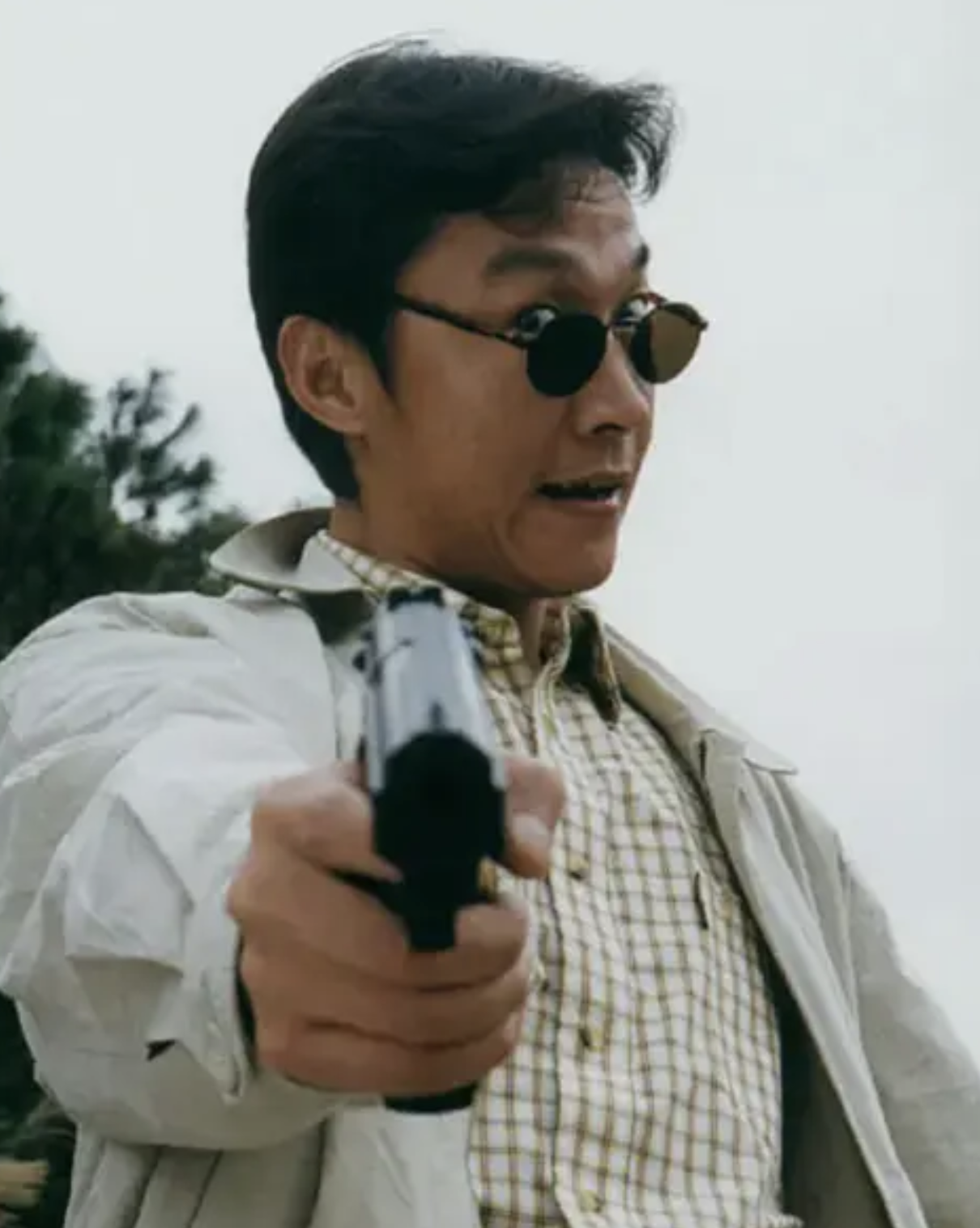 这是一部根据香港悍匪张子强的真实犯罪经历改编而成的电视剧.