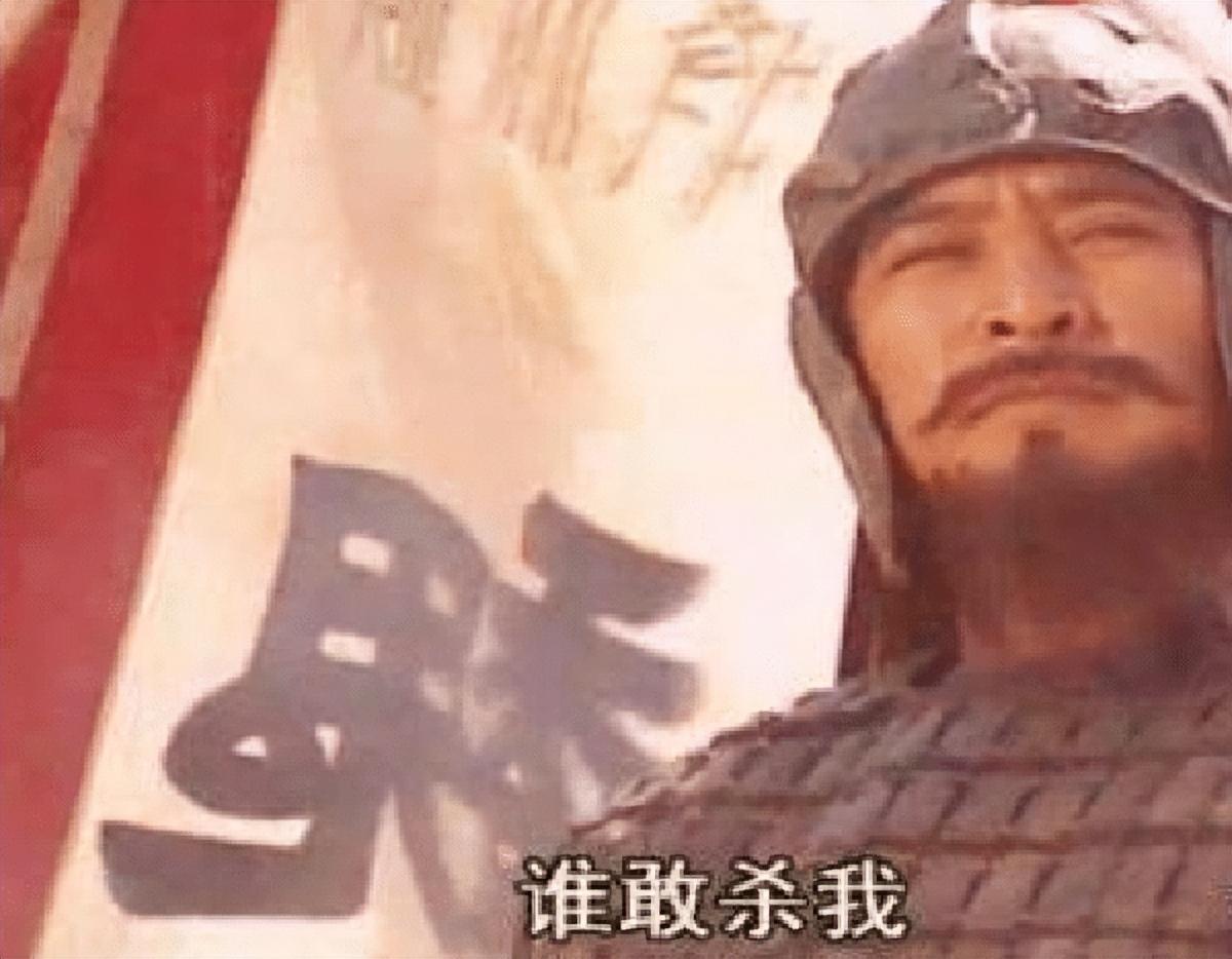 魏延之死到底冤不冤有一定的遗憾但是从深层逻辑来讲并不冤枉