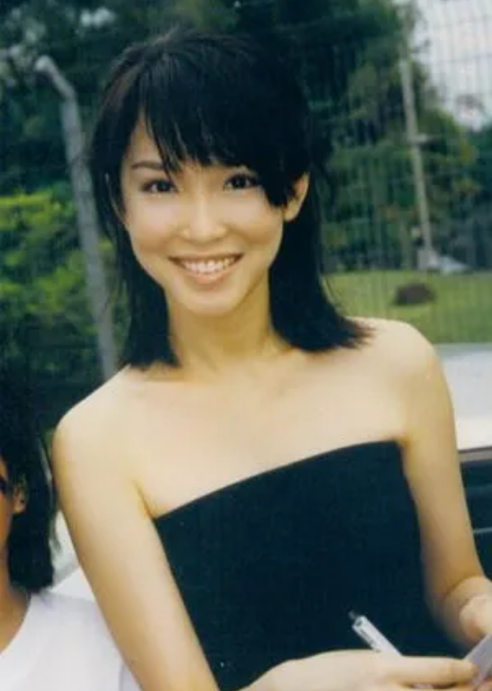 《神雕侠侣》,《我来也》,《青蛇外传》,《皇家威龙》,《我爱钟无艳》