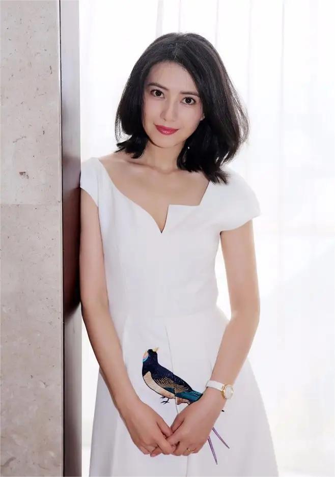 回顾高圆圆35岁嫁给小五岁的赵又廷并在40岁高龄为他生一女