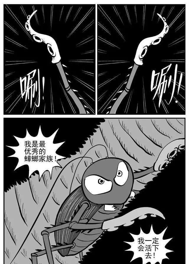 九成人不知蟑螂的天敌是啥家里头放点它让蟑螂集体跑光