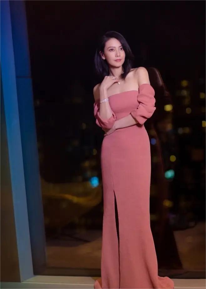 回顾高圆圆35岁嫁给小五岁的赵又廷并在40岁高龄为他生一女