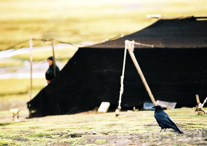 回顾在西藏遇到白色帐篷为啥要躲着白色帐篷在当地代表着什么