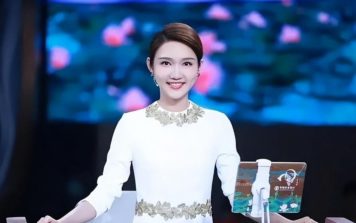 回顾龙洋从湖南走出来的央视主持人今仍单身风光背后有辛酸