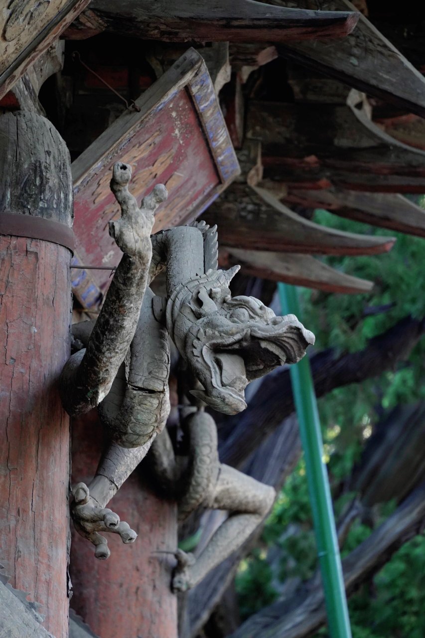 龙年看龙,今天我想和大家分享的是晋祠圣母殿的八条宋代木龙
