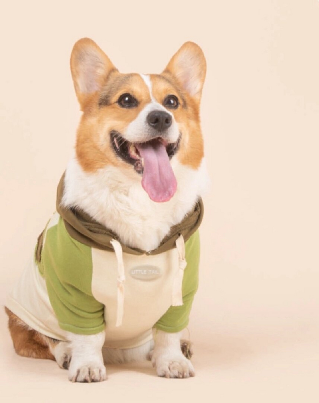 狗狗衣服|  亲们,有没有见过这么好看的小狗卫衣呀?