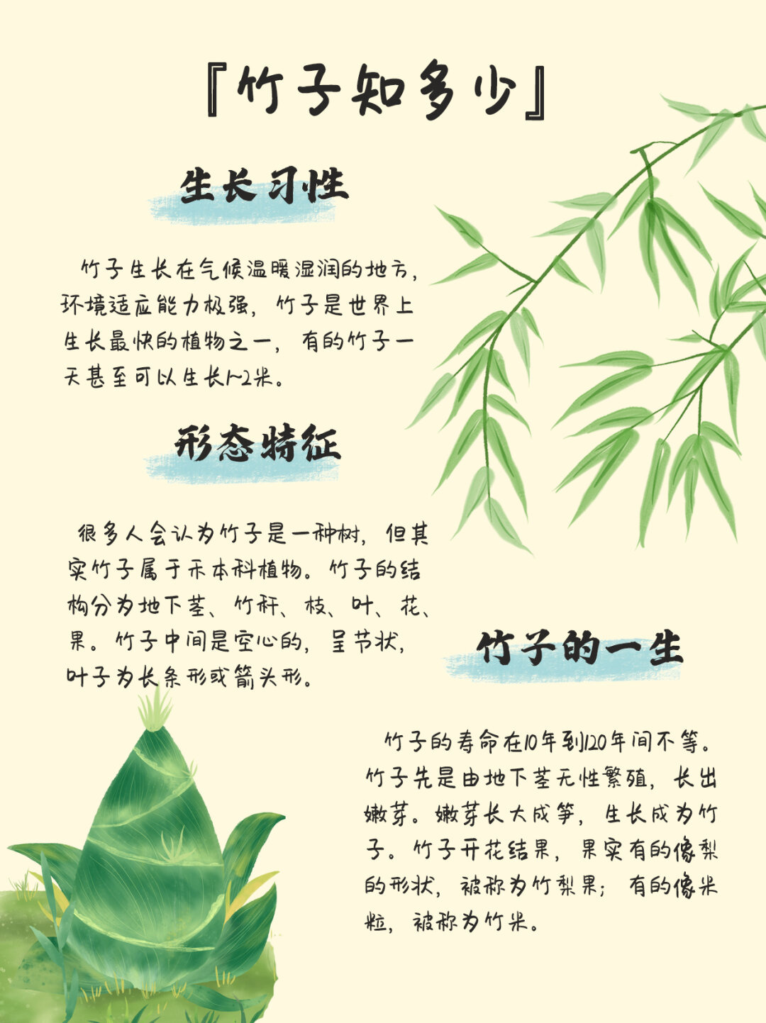 竹子在滋润的雨水中欣欣向荣