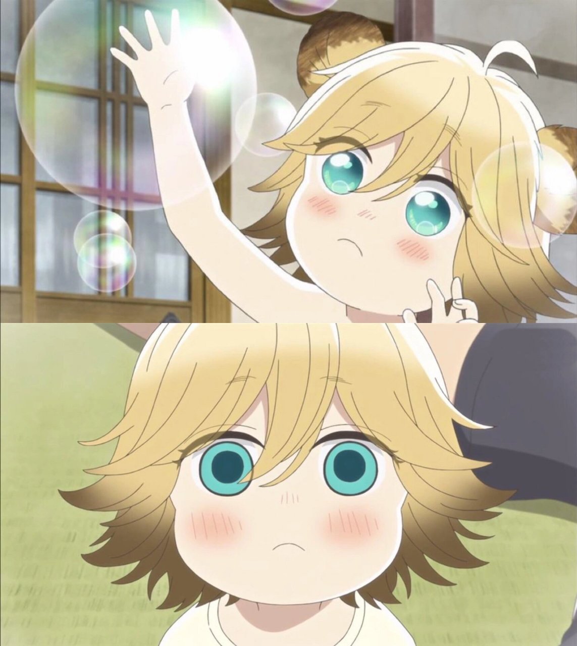 《乌冬面之国的金色毛球》  这部动漫讲述了表宗太与可爱的狸猫波可