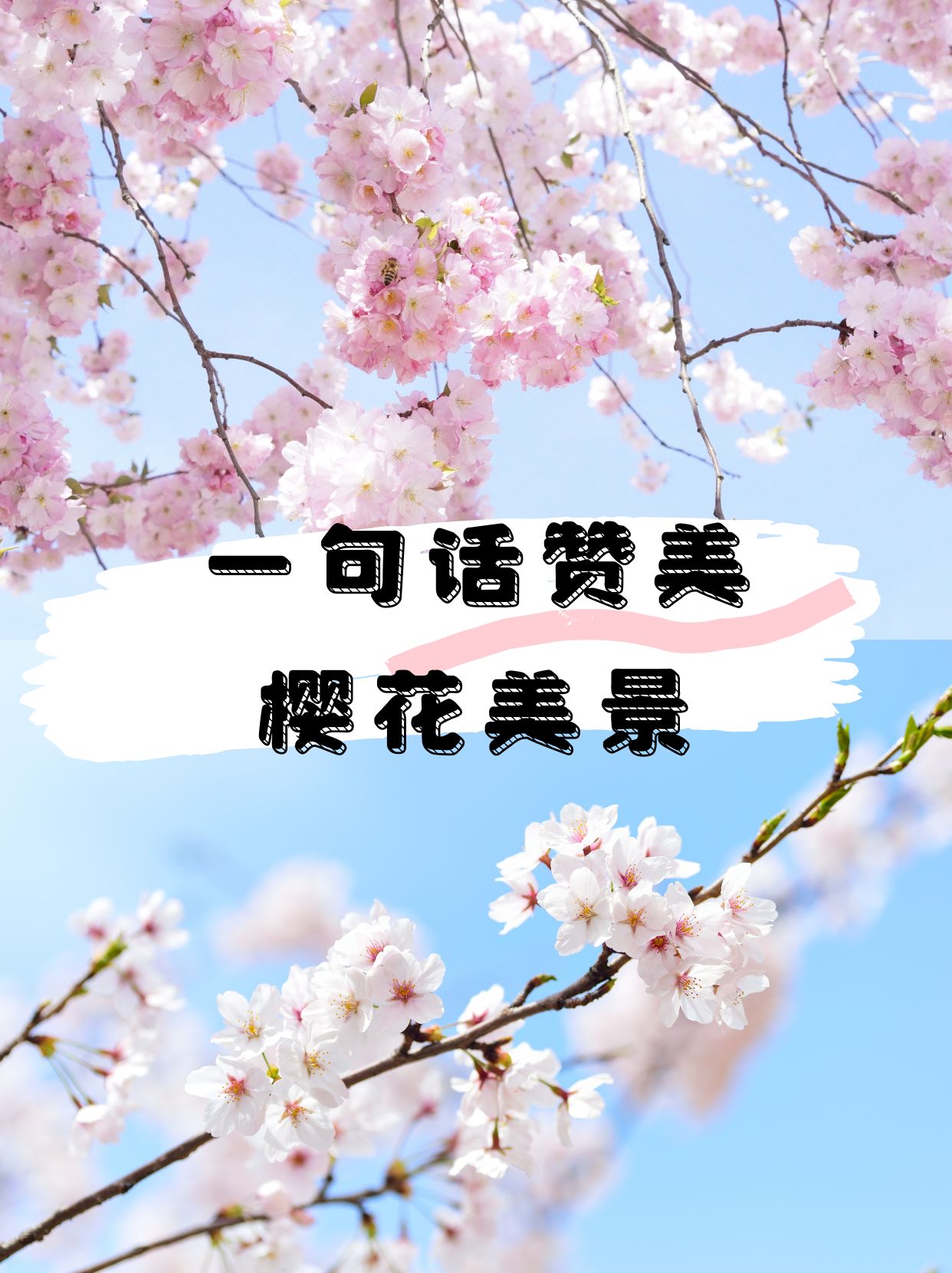 一句话赞美樱花美景   春风十里,不如樱花一树的温柔.