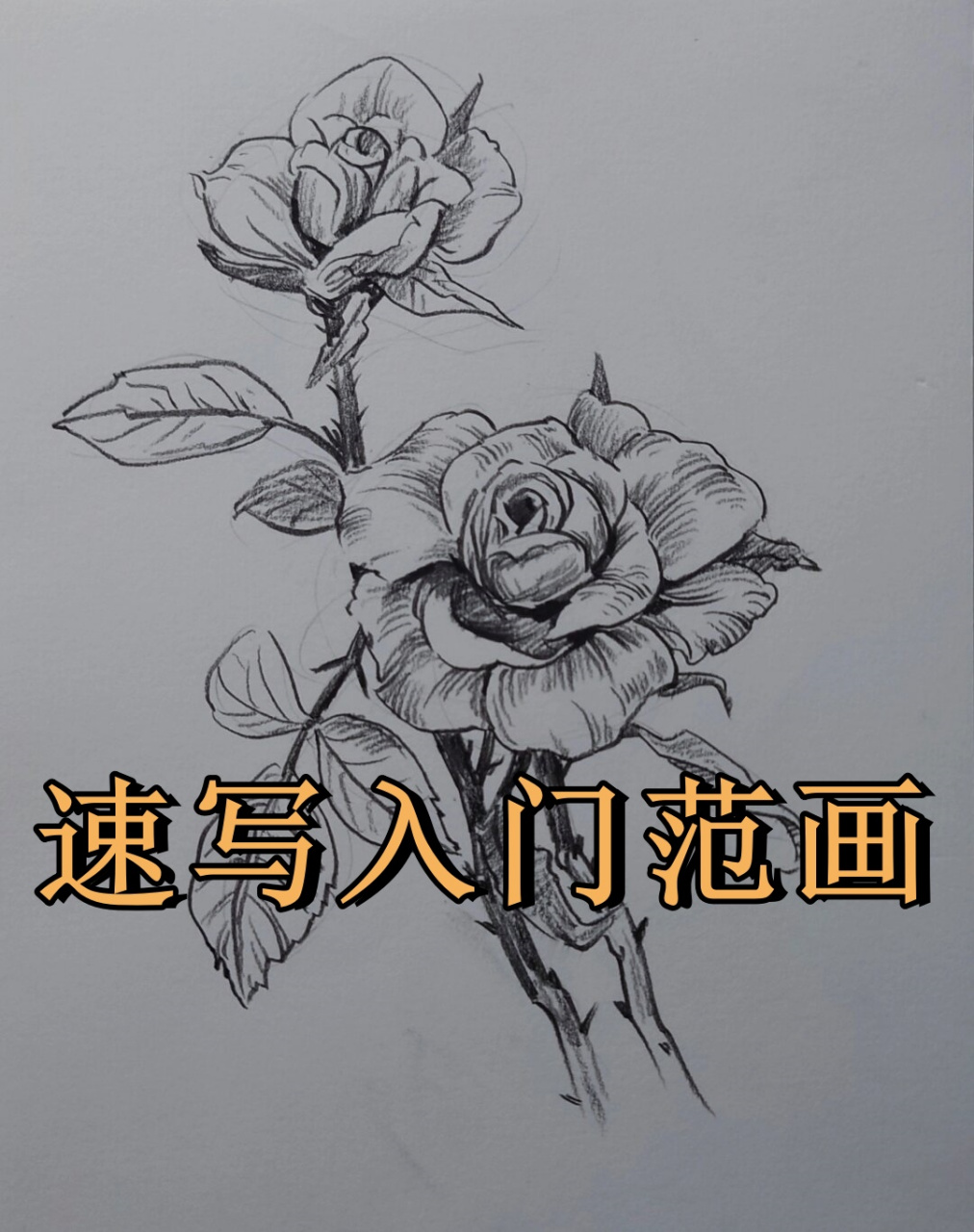 速写入门范画  96速写入门范画:画出生活的瞬间魅力96  9015