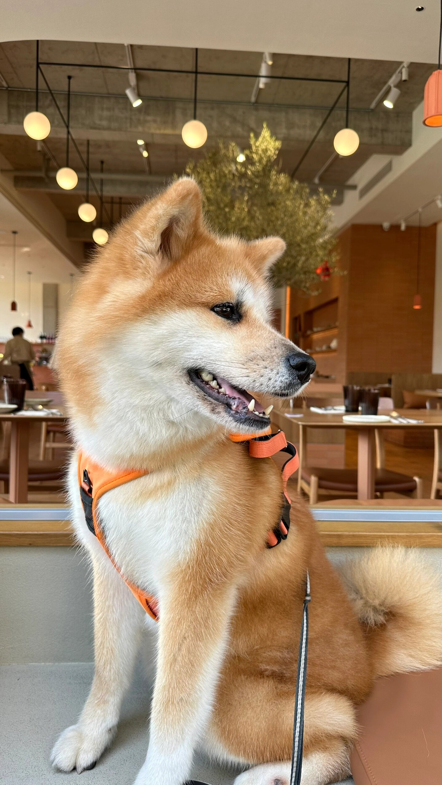 今天,我和我的家人一起度过了一个非常特别的