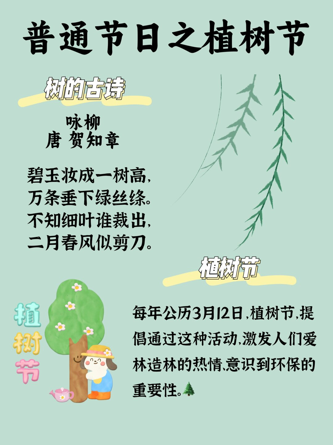 柳树的介绍图片