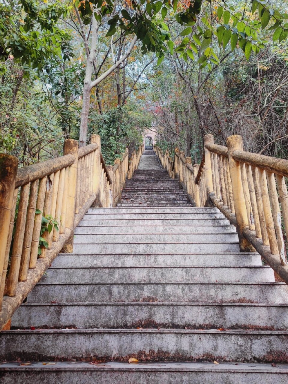 漳州周末 来紫云公园有这几种玩法  📍位于漳州市龙海区的紫云公园,