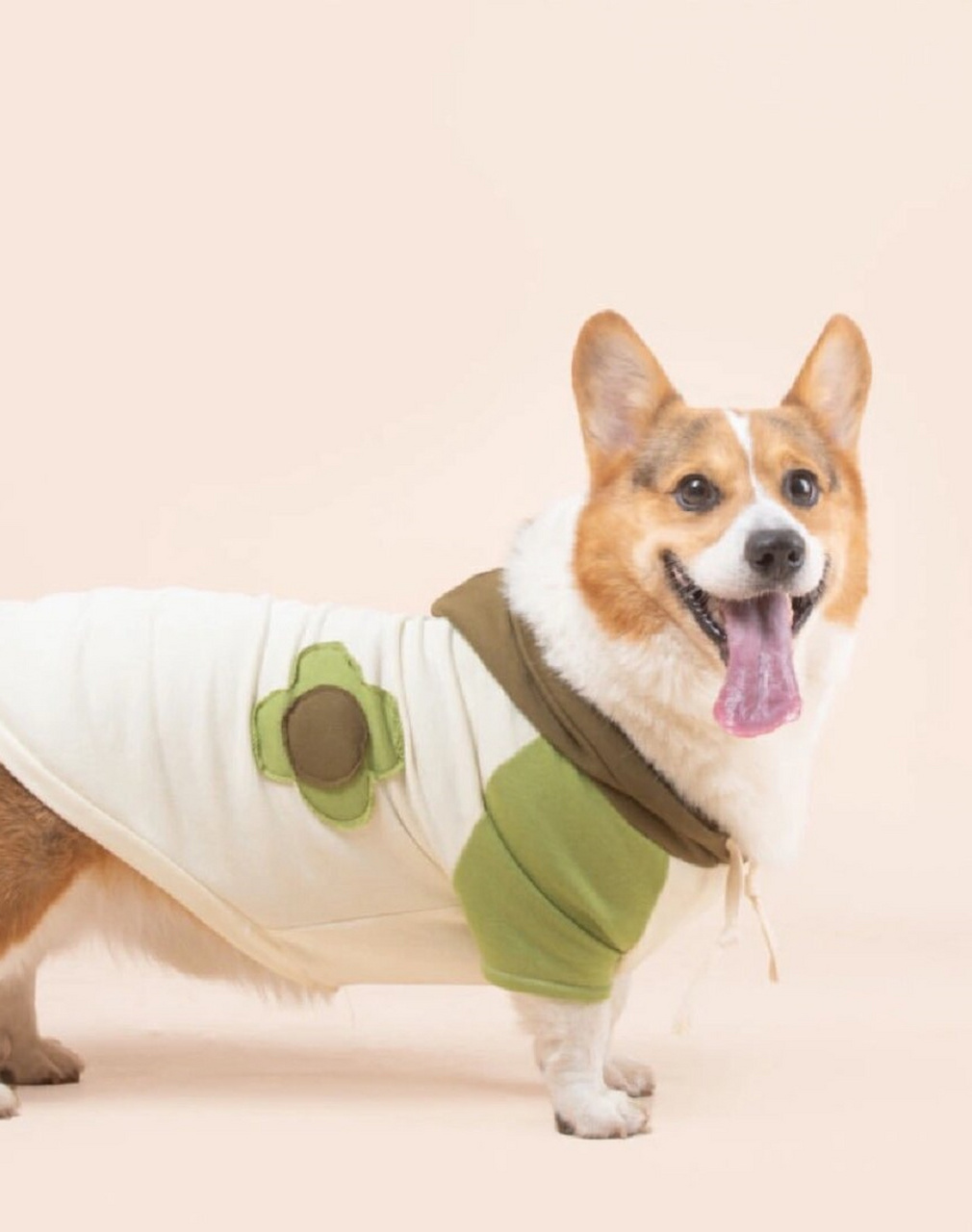 狗狗衣服|  亲们,有没有见过这么好看的小狗卫衣呀?