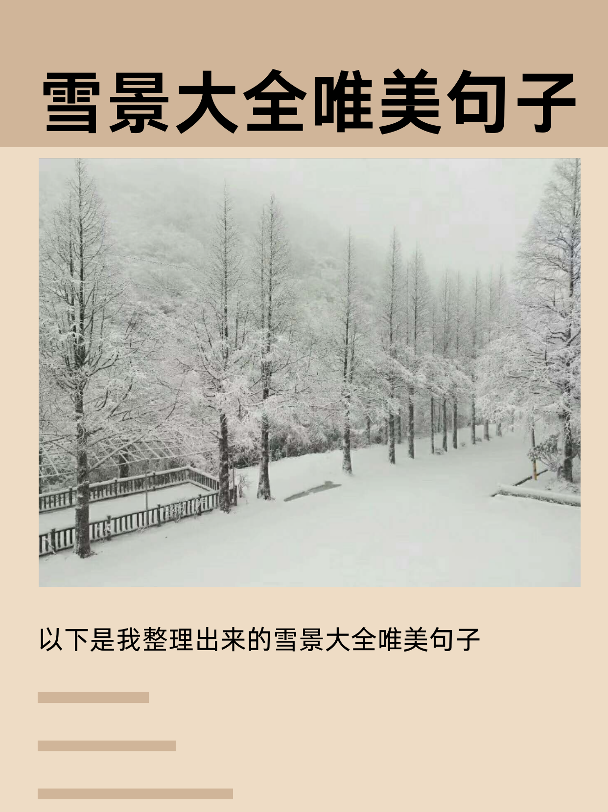 赞朋友雪景照片的句子图片