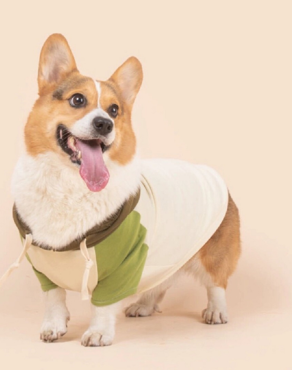 狗狗衣服|  亲们,有没有见过这么好看的小狗卫衣呀?