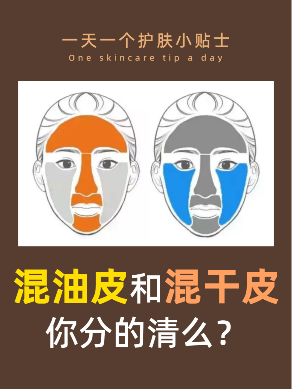 大家好,今天来和大家聊聊混干皮和混油皮的区别!