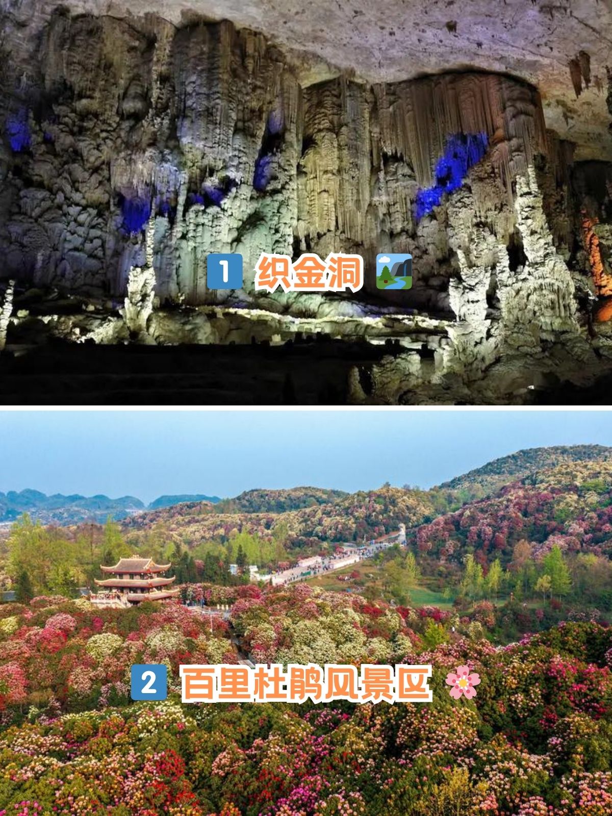 贵州毕节旅游景点攻略图片