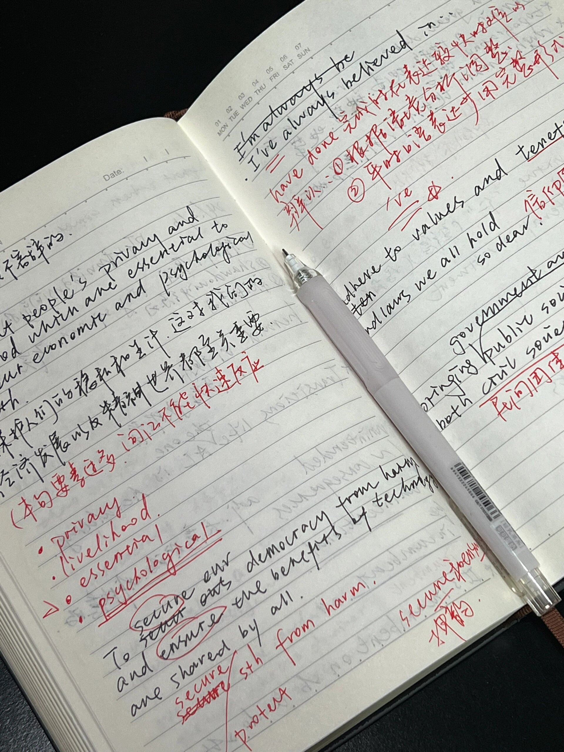 我喜欢写字,因为字是流动的情感