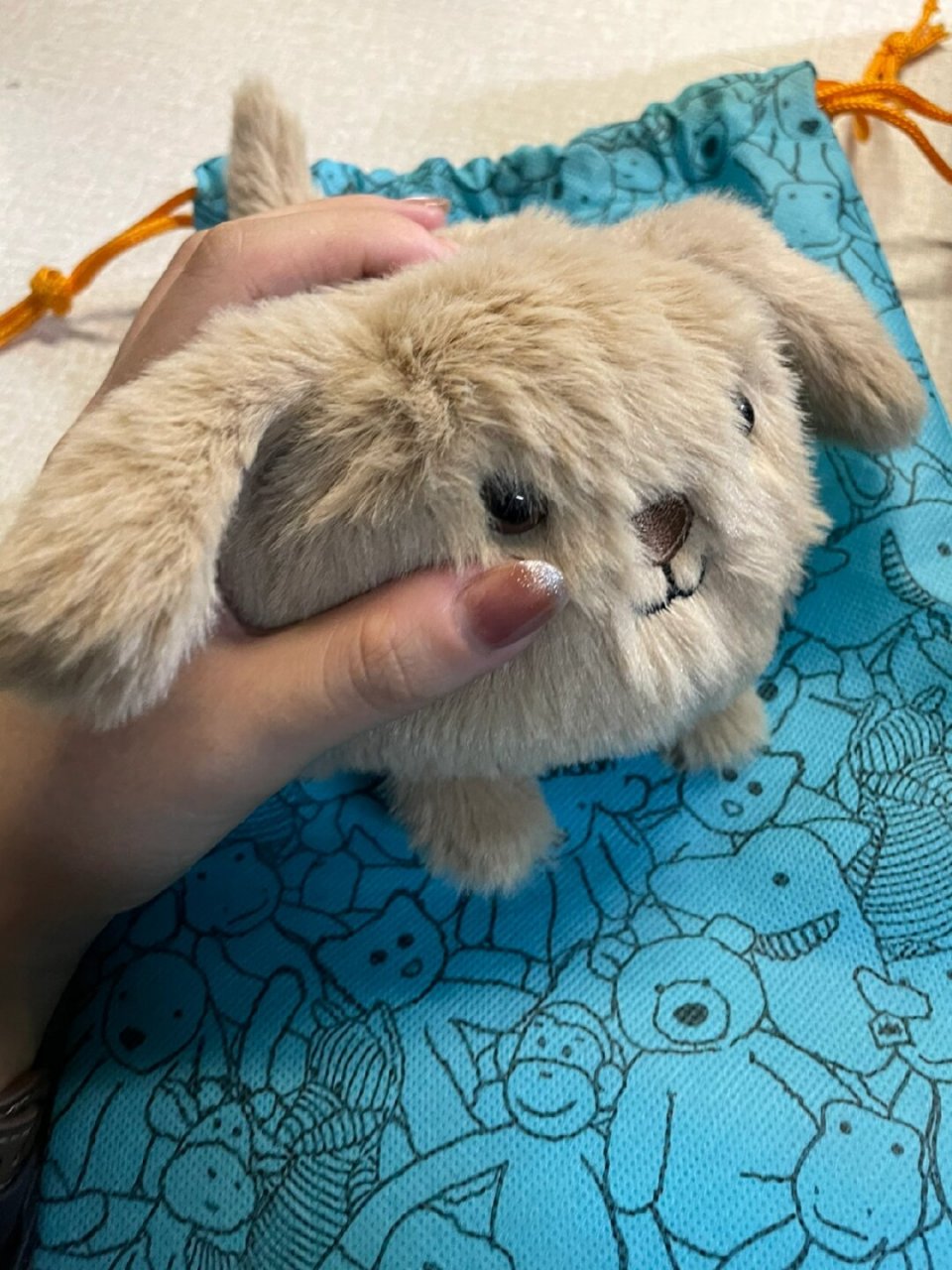 今天我要向你们安利一款让人无法抗拒的可爱小物——果冻猫(jellycat)