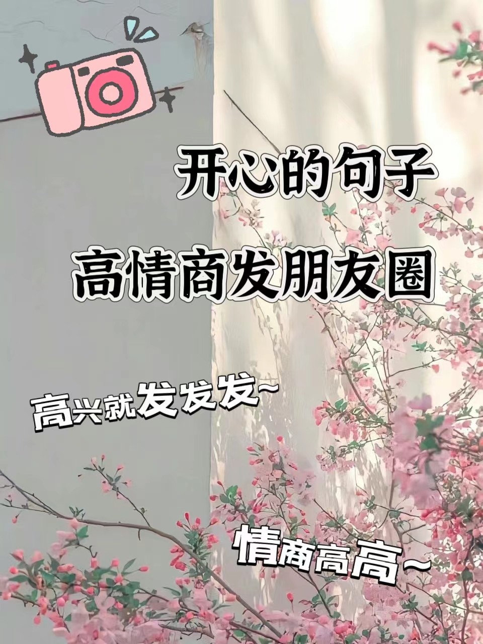 开心的句子高情商发朋友圈 生活中总有那么一些瞬间让人感到开心和