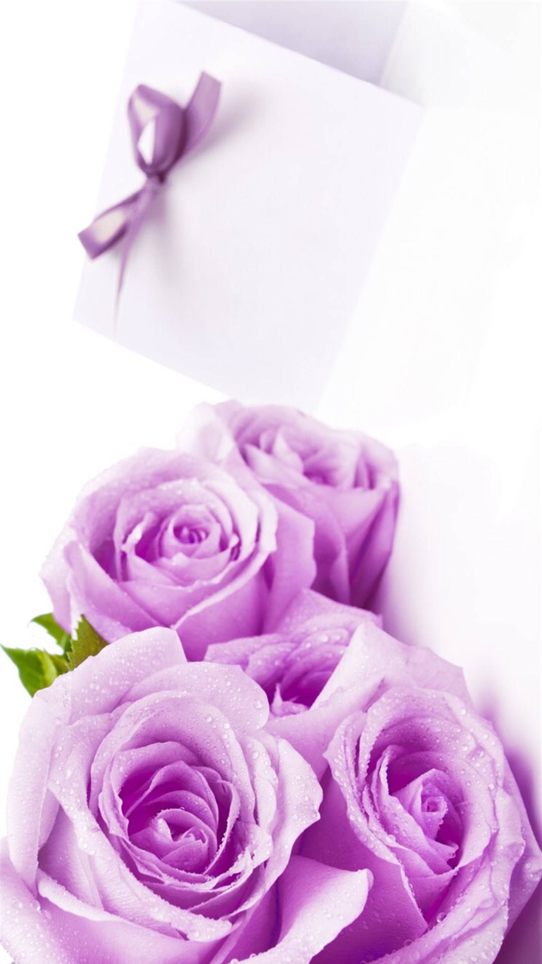 校园情人坡:爱情的神秘圣地