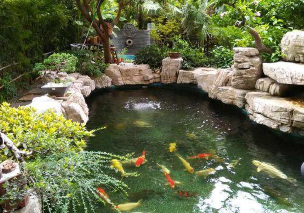 院子的鱼池应该如何设计和建设