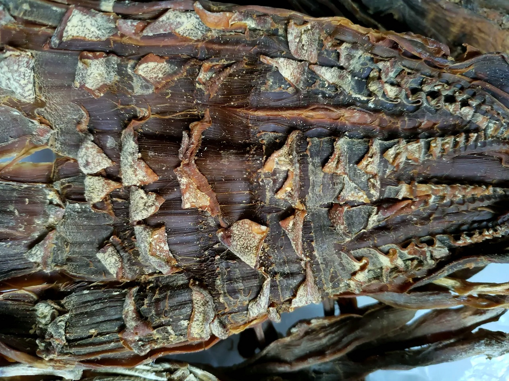 之前没吃过笋干这东西,不确定这是发霉还是什么?闻起来就没有发霉味?