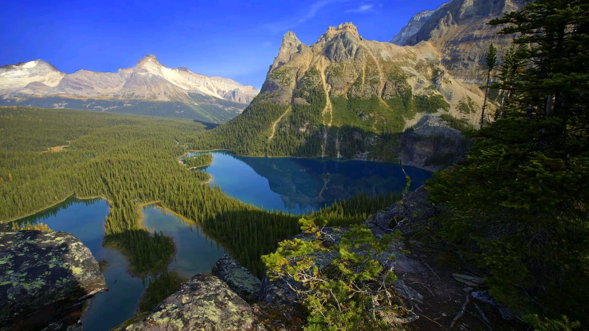 只要单位没开除你,无论发生什么,你就没心没肺,千万不要冲动