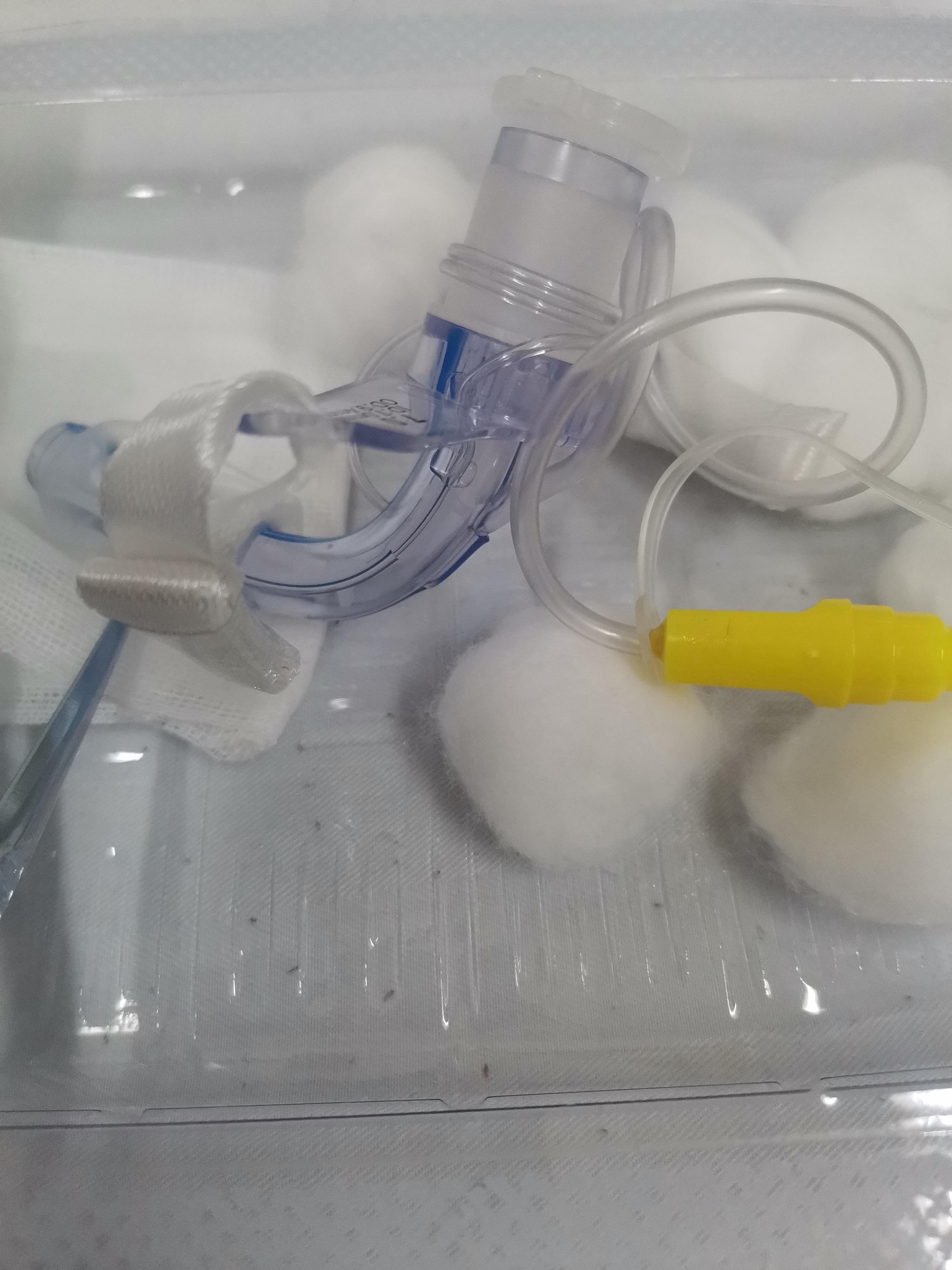 这是一个声门下吸引气管套管