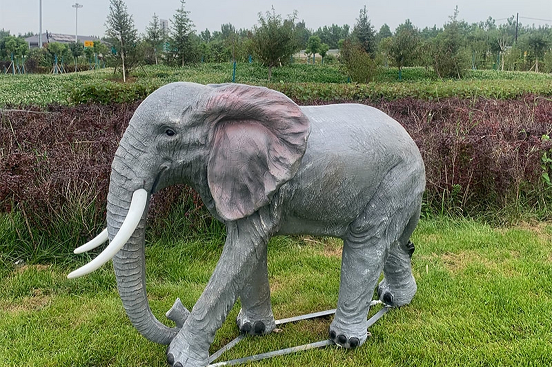 玻璃钢大象雕塑作为热带地区动物雕塑的代表,以其轻盈美感,耐用特性和