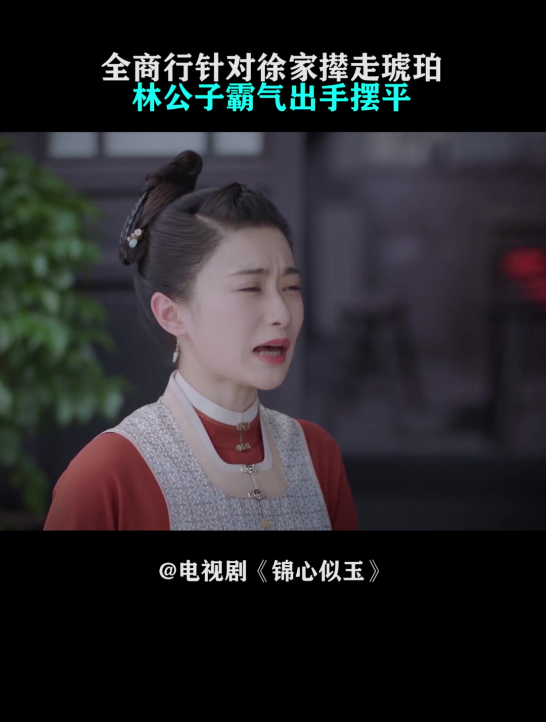 锦心似玉全商行针对徐家撵走琥珀林公子霸气出手摆平