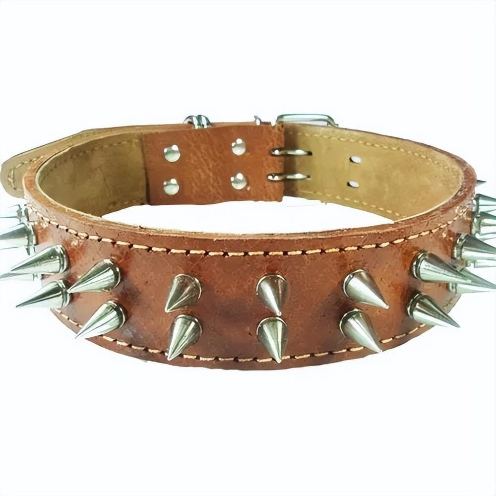 回顾牧羊犬脖子上戴的"防狼项圈",为何会让狼群害怕?真可以防狼?