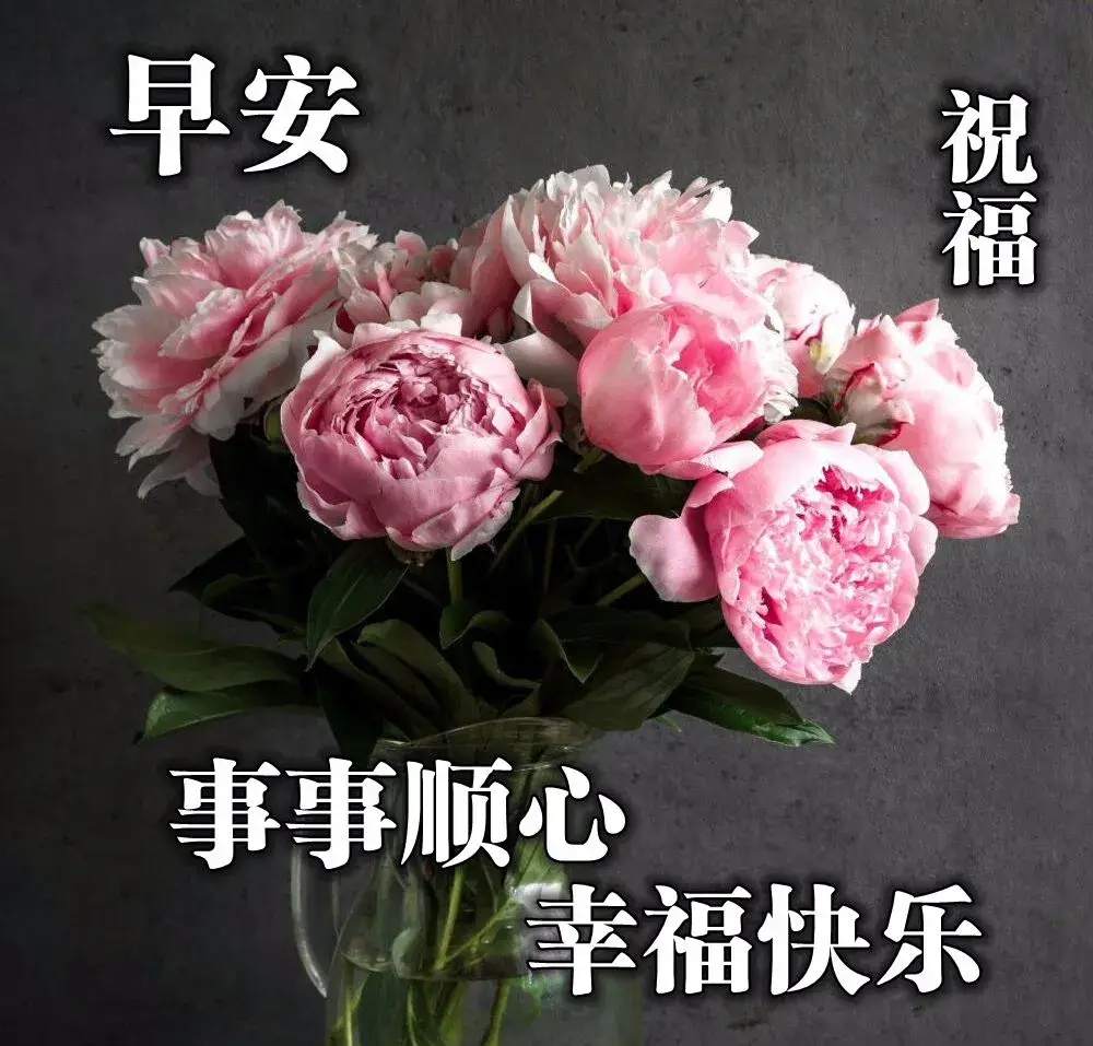 最美早上好问候祝福语图片带字温馨,唯美早安祝福语图片集锦