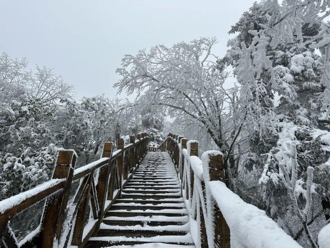 唐家河门票图片