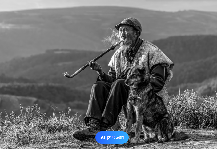 一阵轻风吹过, 几片枯黄的树叶, 绝望地从树枝上脱落