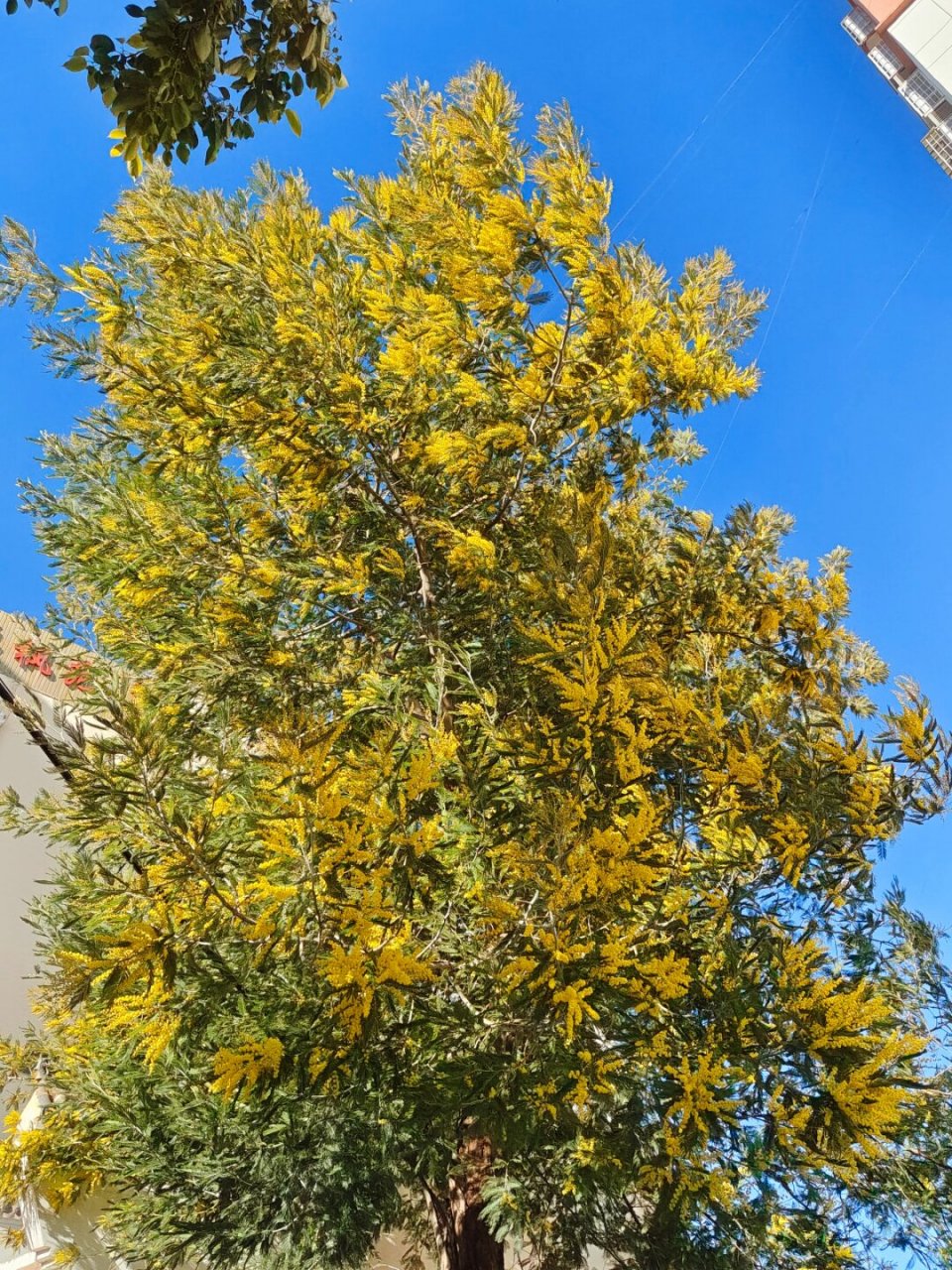 路过春秋和冬夏  0869♀150869♂15在岁月的长河中,我