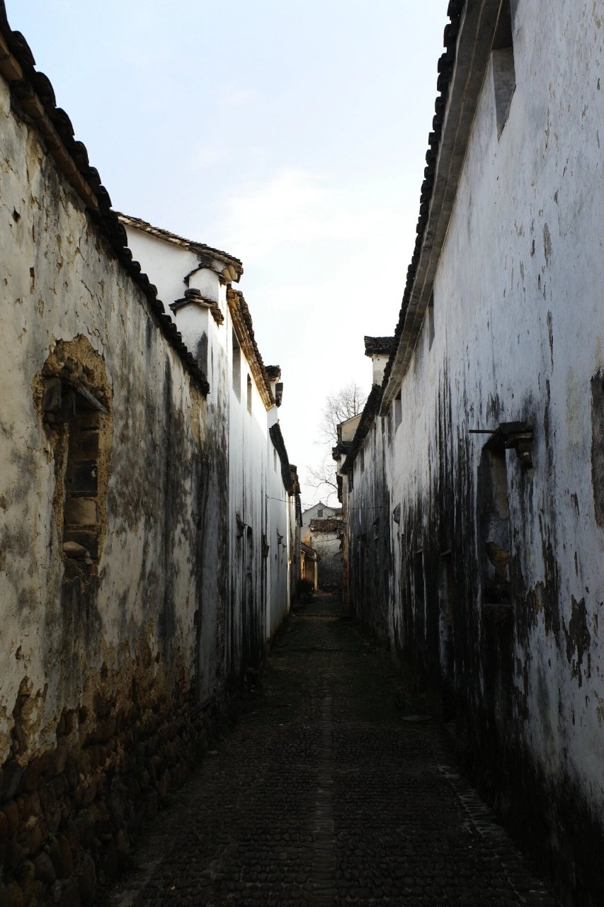 因水而灵动的国家级历史文化古村  我最近去了一趟桐庐深澳古村,这