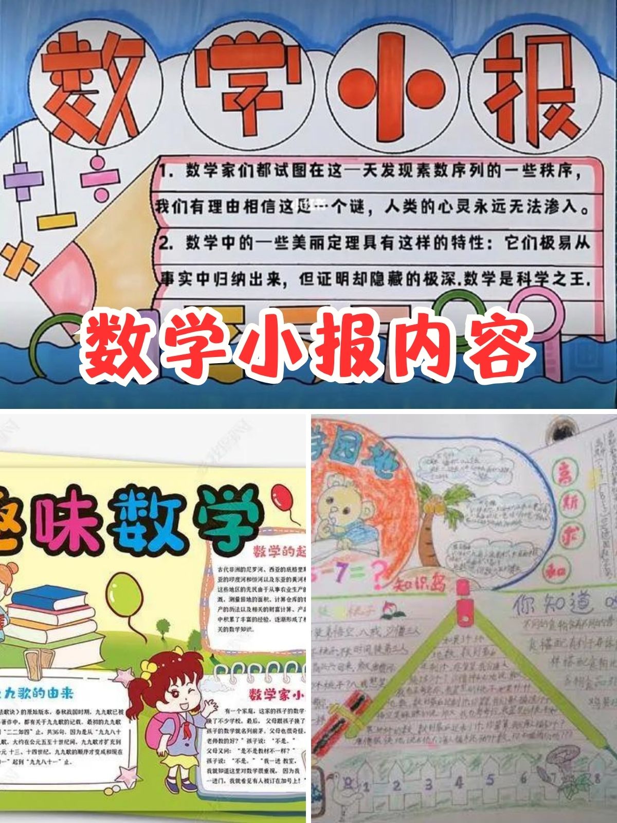 数学小报内容