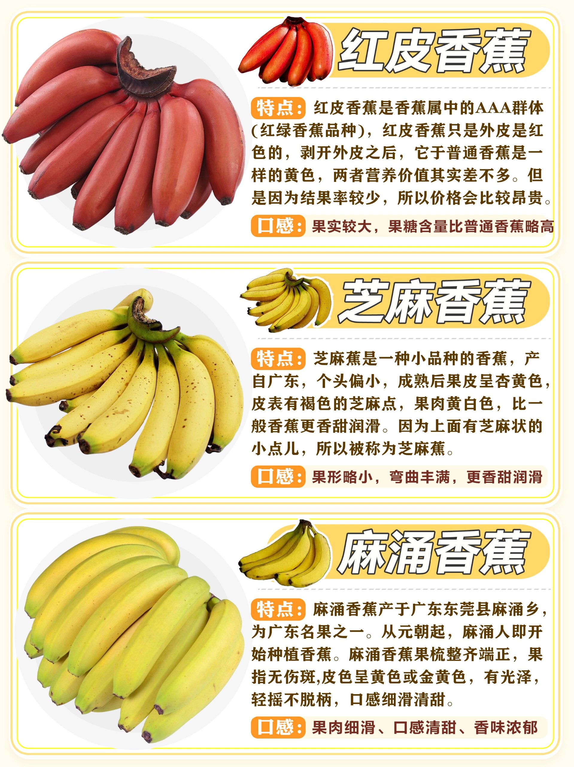 常见香蕉品种集品种特点 | 口感区别  今天就给大家分享《香蕉常见