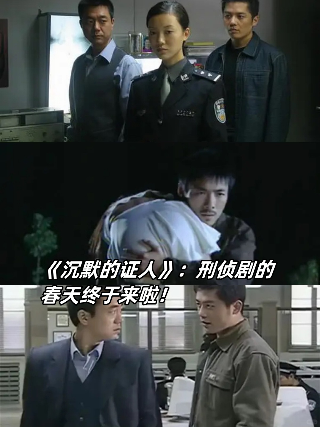 97《沉默的证人》:刑侦剧的春天.@学会温柔微的动态
